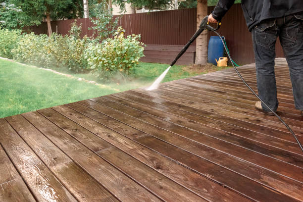 Best Animal Enclosure Cleaning  in Franklin, VA