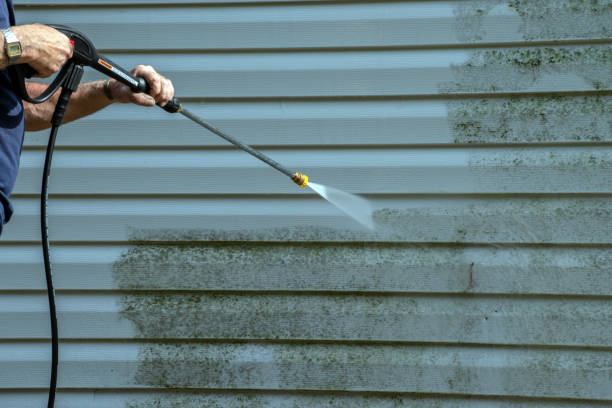 Best Graffiti Removal  in Franklin, VA