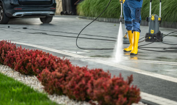 Best Roof Washing  in Franklin, VA